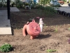 Имя файла=balakovo-20120821-002.jpg
Размер файла=337КБ
Размеры=1000x750
Дата=Сент 03, 2012 balakovo-20120821-002.jpg