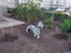 Имя файла=balakovo-20120821-003.jpg
Размер файла=343КБ
Размеры=1000x750
Дата=Сент 03, 2012 balakovo-20120821-003.jpg