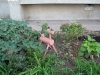 Имя файла=balakovo-20120821-011.jpg
Размер файла=327КБ
Размеры=1000x750
Дата=Сент 03, 2012 balakovo-20120821-011.jpg