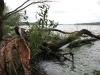 nature004.jpg