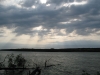 nature005.jpg