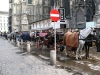 Имя файла=vienna37.jpg
Размер файла=212КБ
Размеры=800x600
Дата=Март 28, 2009 vienna37.jpg