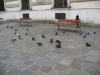 vienna51.jpg