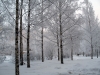 Имя файла=winterspb01.jpg
Размер файла=253КБ
Размеры=891x675
Дата=Фев 09, 2010 winterspb01.jpg