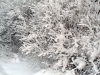 Имя файла=winterspb02.jpg
Размер файла=259КБ
Размеры=900x675
Дата=Фев 09, 2010 winterspb02.jpg