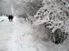 Имя файла=winterspb03.jpg
Размер файла=203КБ
Размеры=900x675
Дата=Фев 09, 2010 winterspb03.jpg