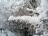 Имя файла=winterspb04.jpg
Размер файла=114КБ
Размеры=900x675
Дата=Фев 09, 2010 winterspb04.jpg