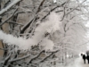 Имя файла=winterspb06.jpg
Размер файла=107КБ
Размеры=900x675
Дата=Фев 09, 2010 winterspb06.jpg