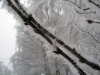 Имя файла=winterspb07.jpg
Размер файла=121КБ
Размеры=900x675
Дата=Фев 09, 2010 winterspb07.jpg