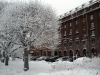 Имя файла=winterspb09.jpg
Размер файла=248КБ
Размеры=900x675
Дата=Фев 09, 2010 winterspb09.jpg