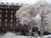 Имя файла=winterspb10.jpg
Размер файла=244КБ
Размеры=900x675
Дата=Фев 09, 2010 winterspb10.jpg