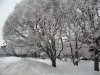 Имя файла=winterspb11.jpg
Размер файла=284КБ
Размеры=900x675
Дата=Фев 09, 2010 winterspb11.jpg