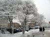 Имя файла=winterspb12.jpg
Размер файла=244КБ
Размеры=900x675
Дата=Фев 09, 2010 winterspb12.jpg