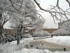 Имя файла=winterspb13.jpg
Размер файла=240КБ
Размеры=900x675
Дата=Фев 09, 2010 winterspb13.jpg