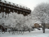 Имя файла=winterspb15.jpg
Размер файла=243КБ
Размеры=900x675
Дата=Фев 09, 2010 winterspb15.jpg