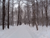 Имя файла=winterspb18.jpg
Размер файла=244КБ
Размеры=900x675
Дата=Фев 09, 2010 winterspb18.jpg