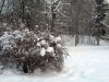 Имя файла=winterspb19.jpg
Размер файла=255КБ
Размеры=900x675
Дата=Фев 09, 2010 winterspb19.jpg