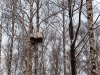 Имя файла=winterspb22.jpg
Размер файла=345КБ
Размеры=900x675
Дата=Фев 09, 2010 winterspb22.jpg