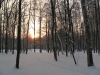 Имя файла=winterspb24.jpg
Размер файла=228КБ
Размеры=900x675
Дата=Фев 09, 2010 winterspb24.jpg